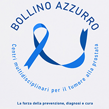 bollino blu 224