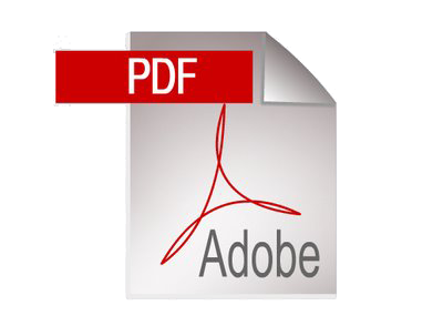 pdf icon 3